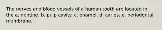 The nerves and <a href='https://www.questionai.com/knowledge/kZJ3mNKN7P-blood-vessels' class='anchor-knowledge'>blood vessels</a> of a human tooth are located in the a. dentine. b. pulp cavity. c. enamel. d. caries. e. periodontal membrane.