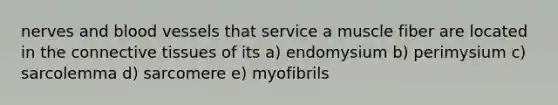 nerves and blood vessels that service a muscle fiber are located in the connective tissues of its a) endomysium b) perimysium c) sarcolemma d) sarcomere e) myofibrils