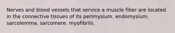 Nerves and blood vessels that service a muscle fiber are located in the connective tissues of its perimysium. endomysium. sarcolemma. sarcomere. myofibrils.