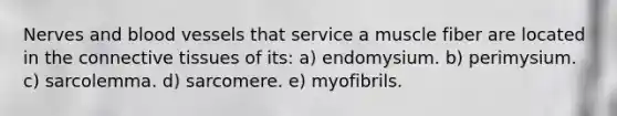 Nerves and blood vessels that service a muscle fiber are located in the connective tissues of its: a) endomysium. b) perimysium. c) sarcolemma. d) sarcomere. e) myofibrils.