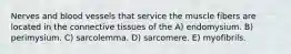Nerves and blood vessels that service the muscle fibers are located in the connective tissues of the A) endomysium. B) perimysium. C) sarcolemma. D) sarcomere. E) myofibrils.