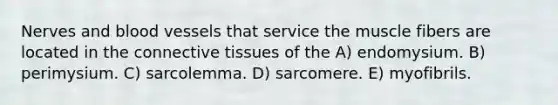 Nerves and blood vessels that service the muscle fibers are located in the connective tissues of the A) endomysium. B) perimysium. C) sarcolemma. D) sarcomere. E) myofibrils.
