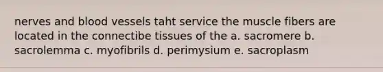 nerves and blood vessels taht service the muscle fibers are located in the connectibe tissues of the a. sacromere b. sacrolemma c. myofibrils d. perimysium e. sacroplasm