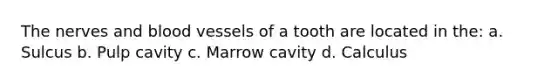 The nerves and blood vessels of a tooth are located in the: a. Sulcus b. Pulp cavity c. Marrow cavity d. Calculus