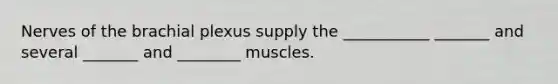 Nerves of the brachial plexus supply the ___________ _______ and several _______ and ________ muscles.