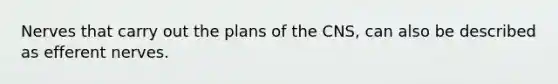Nerves that carry out the plans of the CNS, can also be described as efferent nerves.
