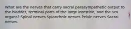 What are the nerves that carry sacral parasympathetic output to the bladder, terminal parts of the large intestine, and the sex organs? Spinal nerves Splanchnic nerves Pelvic nerves Sacral nerves