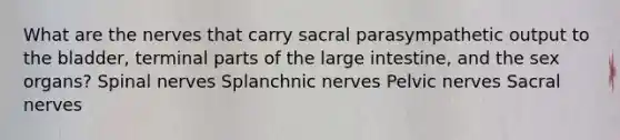 What are the nerves that carry sacral parasympathetic output to the bladder, terminal parts of the <a href='https://www.questionai.com/knowledge/kGQjby07OK-large-intestine' class='anchor-knowledge'>large intestine</a>, and the sex organs? <a href='https://www.questionai.com/knowledge/kyBL1dWgAx-spinal-nerves' class='anchor-knowledge'>spinal nerves</a> Splanchnic nerves Pelvic nerves Sacral nerves