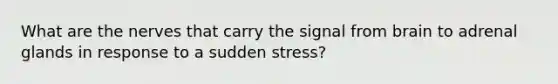 What are the nerves that carry the signal from brain to adrenal glands in response to a sudden stress?