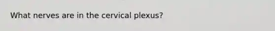 What nerves are in the cervical plexus?