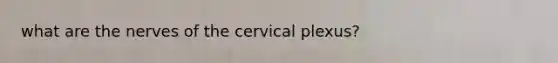 what are the nerves of the cervical plexus?