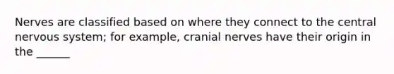 Nerves are classified based on where they connect to the central nervous system; for example, cranial nerves have their origin in the ______