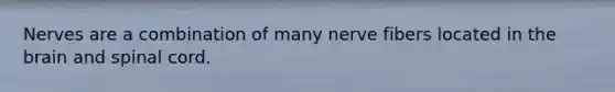Nerves are a combination of many nerve fibers located in the brain and spinal cord.