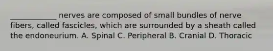 ____________ nerves are composed of small bundles of nerve fibers, called fascicles, which are surrounded by a sheath called the endoneurium. A. Spinal C. Peripheral B. Cranial D. Thoracic