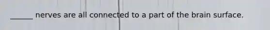 ______ nerves are all connected to a part of the brain surface.