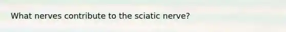 What nerves contribute to the sciatic nerve?