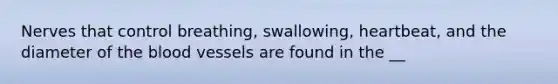 Nerves that control breathing, swallowing, heartbeat, and the diameter of the blood vessels are found in the __