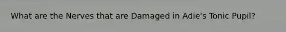 What are the Nerves that are Damaged in Adie's Tonic Pupil?
