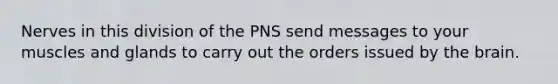 Nerves in this division of the PNS send messages to your muscles and glands to carry out the orders issued by the brain.