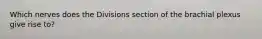 Which nerves does the Divisions section of the brachial plexus give rise to?