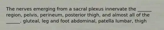 The nerves emerging from a sacral plexus innervate the ______ region, pelvis, perineum, posterior thigh, and almost all of the ______. gluteal, leg and foot abdominal, patella lumbar, thigh