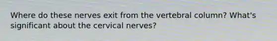 Where do these nerves exit from the vertebral column? What's significant about the cervical nerves?