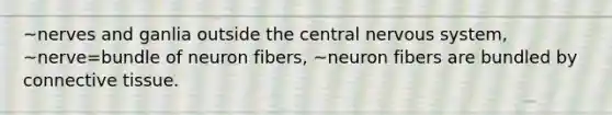 ~nerves and ganlia outside the central nervous system, ~nerve=bundle of neuron fibers, ~neuron fibers are bundled by connective tissue.