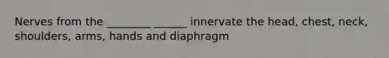 Nerves from the ________ ______ innervate the head, chest, neck, shoulders, arms, hands and diaphragm