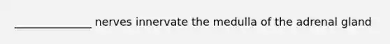 ______________ nerves innervate the medulla of the adrenal gland