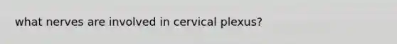 what nerves are involved in cervical plexus?