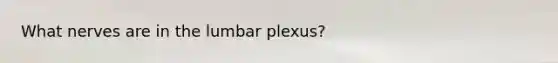 What nerves are in the lumbar plexus?