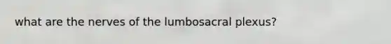 what are the nerves of the lumbosacral plexus?