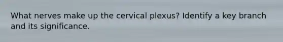 What nerves make up the cervical plexus? Identify a key branch and its significance.