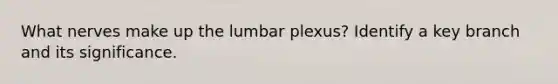 What nerves make up the lumbar plexus? Identify a key branch and its significance.