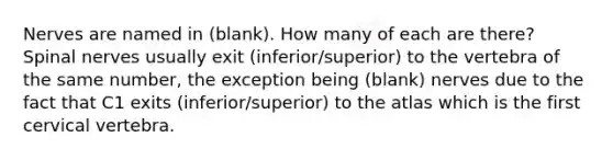 Nerves are named in (blank). How many of each are there? Spinal nerves usually exit (inferior/superior) to the vertebra of the same number, the exception being (blank) nerves due to the fact that C1 exits (inferior/superior) to the atlas which is the first cervical vertebra.