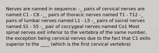 Nerves are named in sequence: -_ pairs of cervical nerves are named C1 - C8 -__ pairs of thoracic nerves named T1 - T12 -_ pairs of lumbar nerves named L1 - L5 -_ pairs of sacral nerves named S1 - S5 -_ pair of coccygeal nerves named Co1 Most spinal nerves exit inferior to the vertebra of the same number, the exception being cervical nerves due to the fact that C1 exits superior to the ____ (which is the first cervical vertebra)