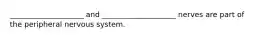 ____________________ and ____________________ nerves are part of the peripheral nervous system.