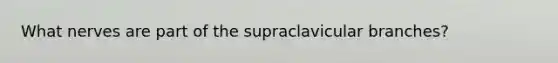 What nerves are part of the supraclavicular branches?