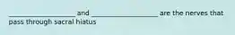 ____________________ and ____________________ are the nerves that pass through sacral hiatus