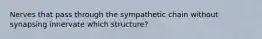 Nerves that pass through the sympathetic chain without synapsing innervate which structure?