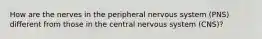 How are the nerves in the peripheral nervous system (PNS) different from those in the central nervous system (CNS)?