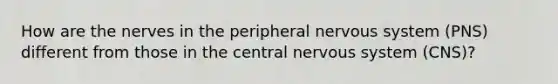 How are the nerves in the peripheral nervous system (PNS) different from those in the central nervous system (CNS)?