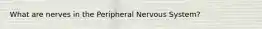 What are nerves in the Peripheral Nervous System?