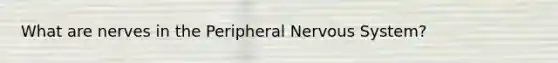 What are nerves in the Peripheral Nervous System?