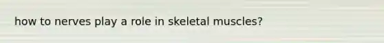 how to nerves play a role in skeletal muscles?