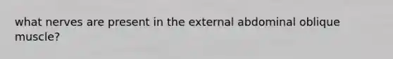 what nerves are present in the external abdominal oblique muscle?