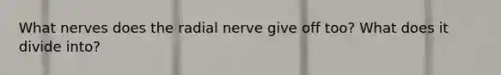 What nerves does the radial nerve give off too? What does it divide into?