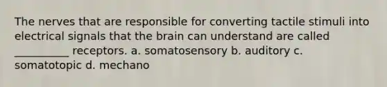 The nerves that are responsible for converting tactile stimuli into electrical signals that the brain can understand are called __________ receptors. a. somatosensory b. auditory c. somatotopic d. mechano