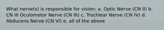 What nerve(s) is responsible for vision: a. Optic Nerve (CN II) b. CN III Oculomotor Nerve (CN III) c. Trochlear Nerve (CN IV) d. Abducens Nerve (CN VI) e. all of the above