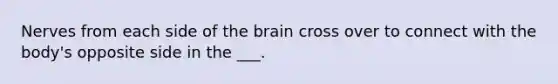 Nerves from each side of the brain cross over to connect with the body's opposite side in the ___.